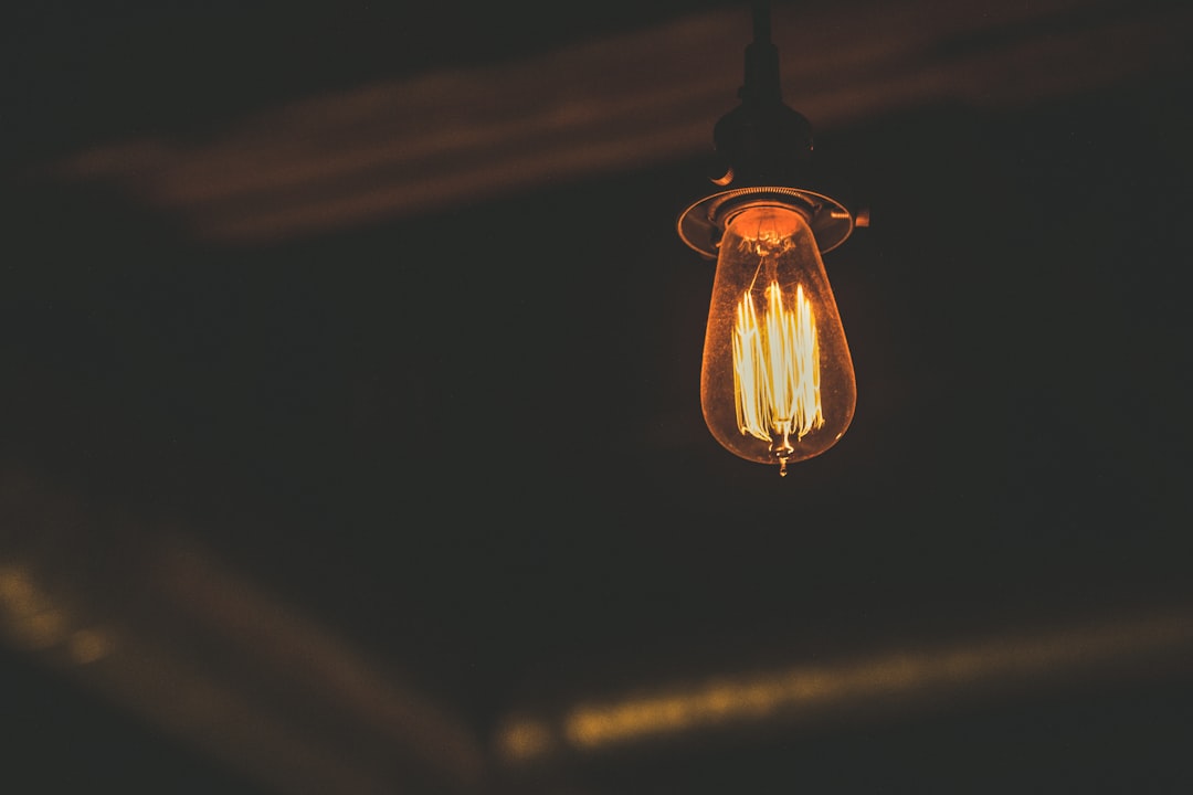Photo pendant light