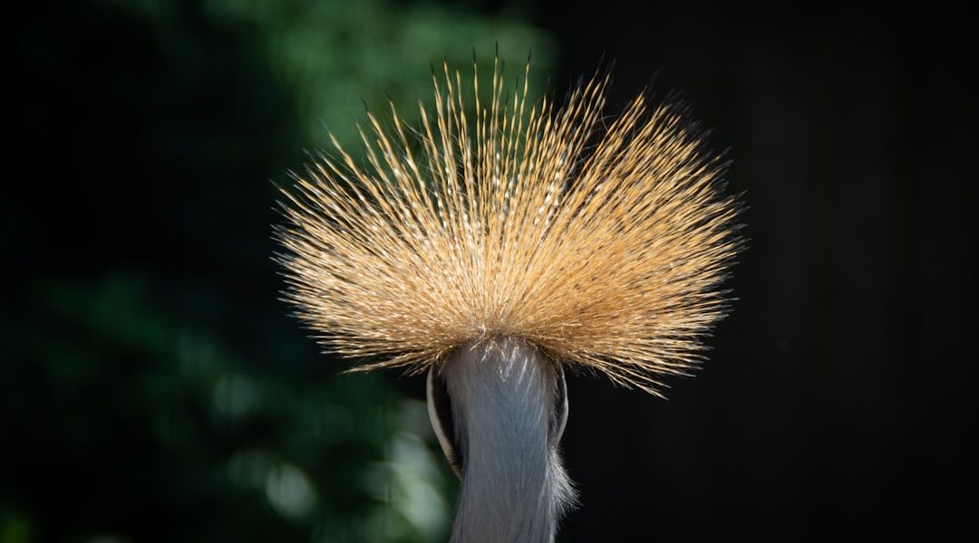 Photo Ostrich Feather Resin Floor Lamp
