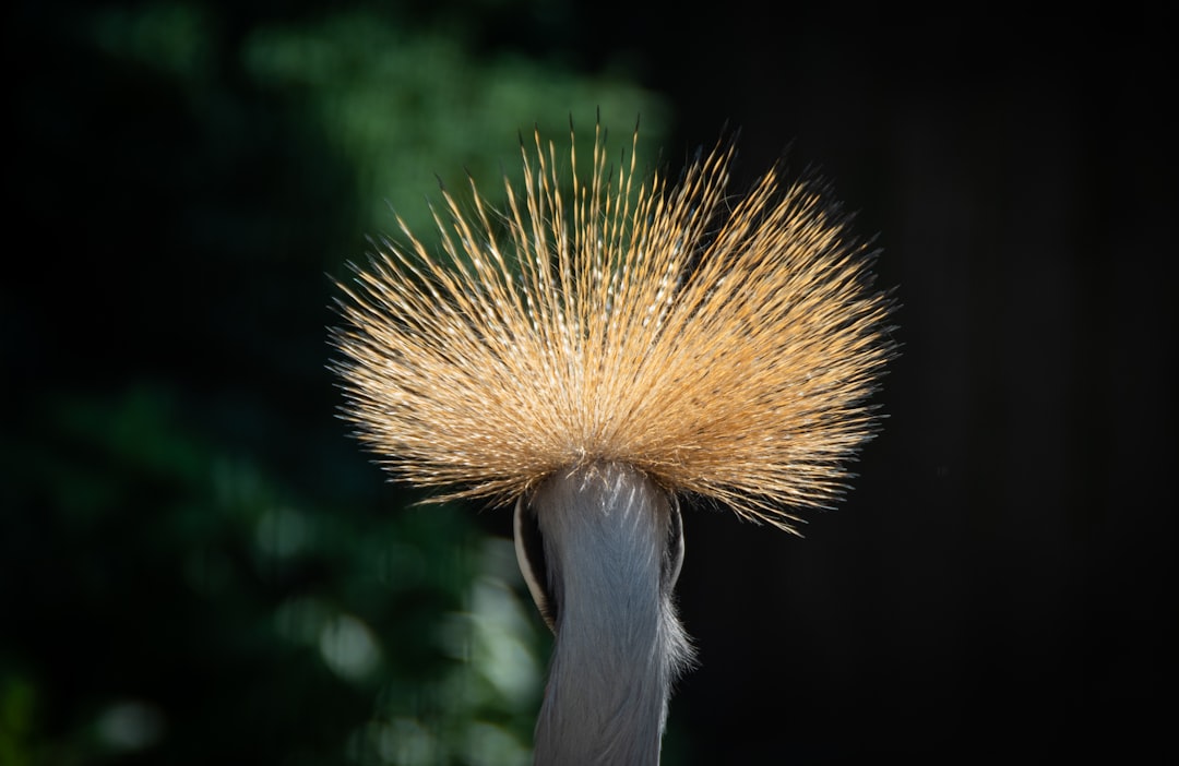Photo Ostrich Feather Resin Floor Lamp