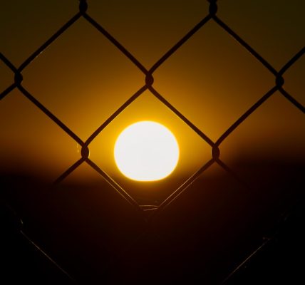 Photo solar motion-sensing fence light