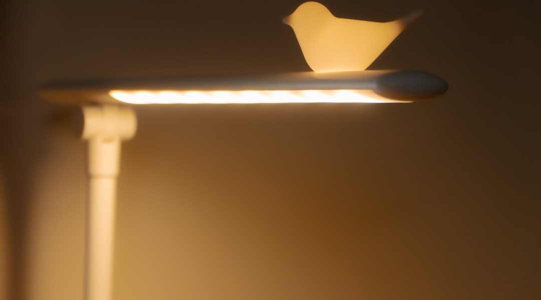 Photo LED floor lamp