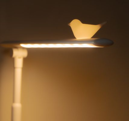 Photo LED floor lamp