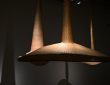 Photo pendant light fixture