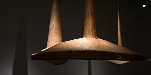 Photo pendant light fixture